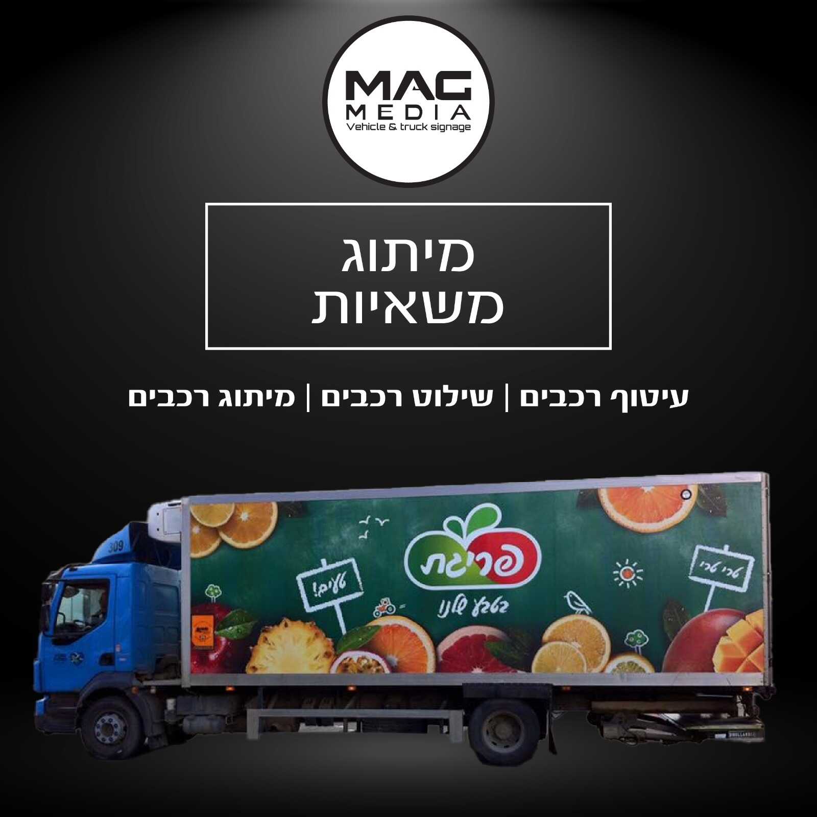 whatsapp-image-2025-02-25-at-10_optimized.17.24-(4)